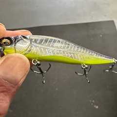 When The Elegy Bone Color Outfishes ANY Other Lure Color…