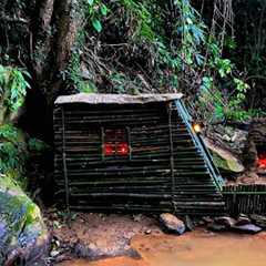 Build bamboo tents and survival skills to find food in the forest - bushcraft camping