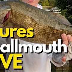 5 Best Smallmouth Bass Lures Based on Their Behavior