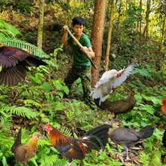 75 days of using survival skills, trapping wild boars, wild chickens, wild fish, survival alone