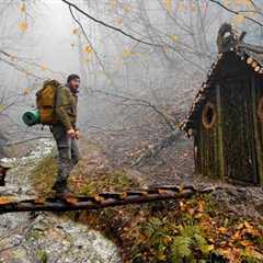 Wilderness Survival: Building a Log Cabin and Bridge in the Misty Forest | Surviving and Thriving