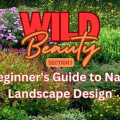 🌿 Welcome to Wild Beauty – Your Guide to Native Landscape Design! 🌿