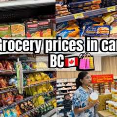 Grocery prices in Canada 🇨🇦 | vlog 6 day 6 (30 days 30 videos) #walmart #surrey #britishcolumbia