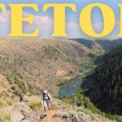 Are the wild fish worth the risk? Fly Fishing the hidden gem of Eastern Idaho fishing