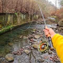 Fly Fishing 4 CRAZY Creeks in 1 Afternoon!! (Trout Fishing)