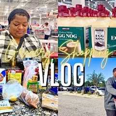 GROCERY SHOPPING VLOG | THANKSGIVING HAUL | PUBLIX + WALMART SHOPPING TRIP