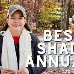 Shade Annuals You're Going to Love