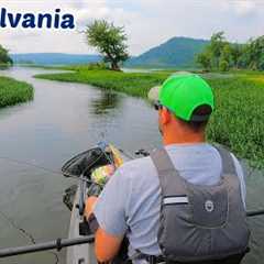 Fishing the BEST Smallmouth Bass River!!