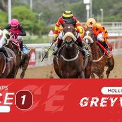 20241127 Hollywoodbets Greyville Race 1 won by GRAND APPEAL