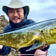 Incredible Catch From Shore | Japan Catch and Cook