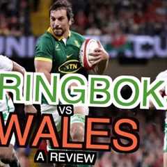 So the Springboks smashed Wales | Autumn Nations Series 2024