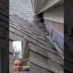 roof leak / roof repair