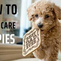 How to Keep Your Puppy Healthy, Happy, and Active!puppy vaccinations