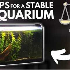 7 Tips for Keeping a Stable Aquarium