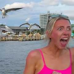 CRUISE SHIP DISASTER!  🦅Funniest Travel & Vacation Fails