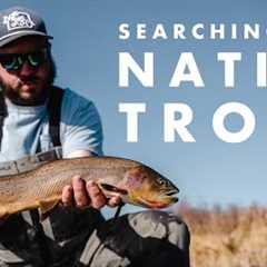 Into The Wild West | Fly Fishing For Native Cutthroat Trout | Adam & Steve Ride Again