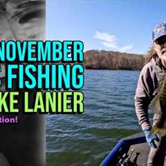 Late November Bass Fishing At Lake Lanier