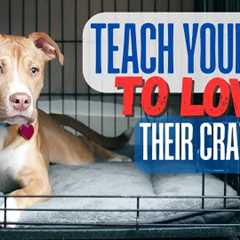 Teach Your Dog to Love Thier Crate