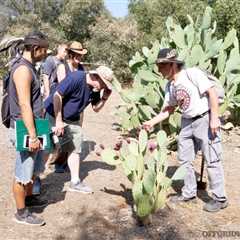 Potable Water: Primitive Survival in the Urban Jungle