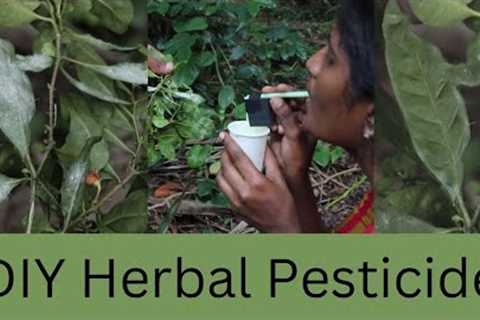 DIY Herbal Pesticide | DIY Science | ThinkTac