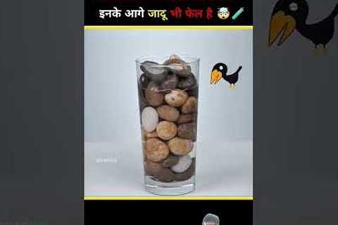 #sciencefacts #amazingfacts #amazing #interestingfacts #science #magic #facts #scinceexperiment