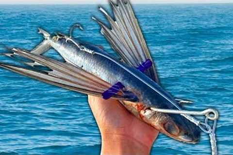 Using FLYING Fish to Catch Bluefin Tuna (Catch Clean Cook)