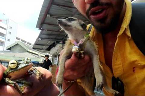 found RAREST PETS in the Biggest 'EXOTIC Pet Market'!