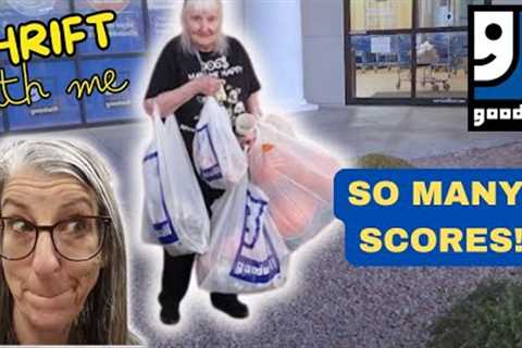 I FOUND a $650 ITEM at GOODWILL For Under $5