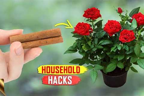 15 MAGICAL HOUSEHOLD GARDEN HACKS | GARDENING TRICKS &amp; TIPS