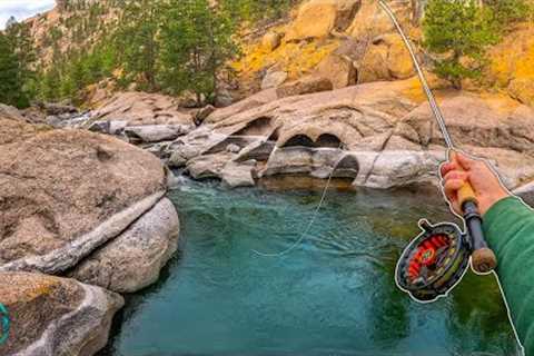 They say this WORLD FAMOUS River is Hard to Fish... (Fly Fishing for Trout)