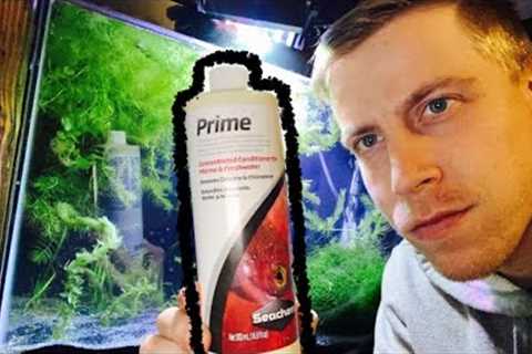 Seachem Prime - How to Use on Water Changes