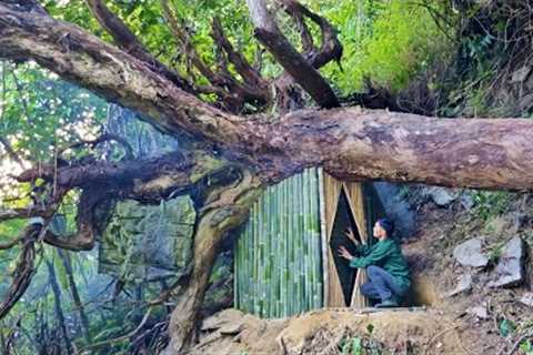 Build cabin shelter under big old tree, Survival Camping, Bushcraft alone, House beautiful