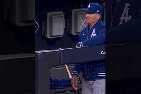 How'd he catch that flying bat?! 😂 #mlb #baseball #Dodgers #worldseries #yankees