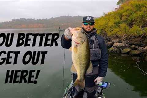 Fall is Here on Clear Lake and the Big Ones are Biting!