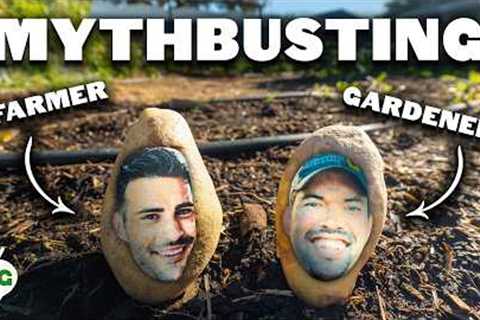 STOP Believing These Potato Growing Myths!