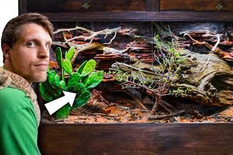 Abandoned Bearded Dragon Gets Mansion Vivarium (Giant Bioactive Build)