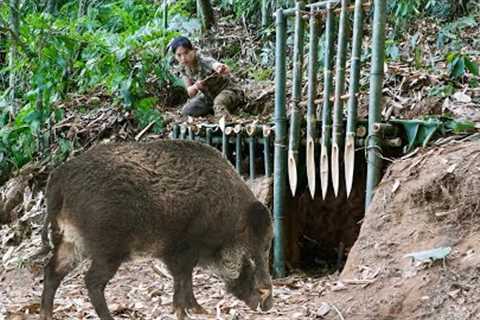 skill, trap, wild boar, efficiency, survival in cold winter, survival alone