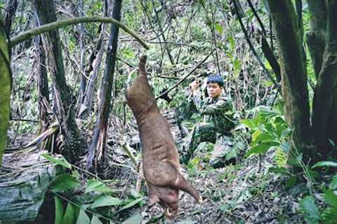 skills, traps, wild boar, efficiency, survival in harsh weather, survival in the wild