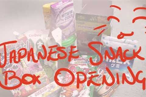 Japanese Snack Box Unboxing 1