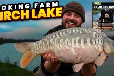 Carp Fishing On A BUDGET CHALLENGE On Birch Lake - Coking Farm