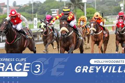 20241103 Hollywoodbets Greyville Race 3 won by SEE IT AGAIN