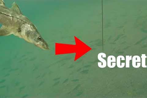 This Is The Secret To Catching Fish Anywhere (Saltwater Fishing Florida)