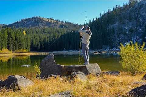 Fishing for the most BEAUTIFUL FISH on Earth!! (Fly Fishing for Trout)