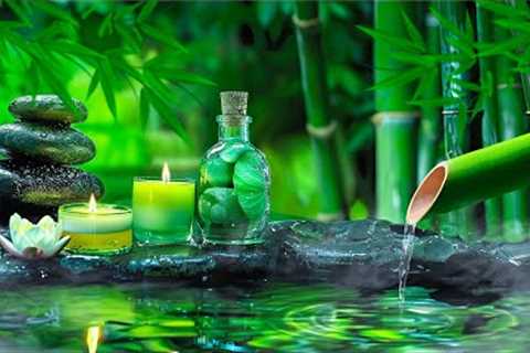 Relaxing Music to Relieve Stress, Anxiety and Depression 🌿 Heals The Mind, Body and Soul #22