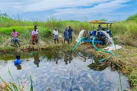 Pond Water Fish Catching and Cooking Fish Gravy in our Village | Country Fishing