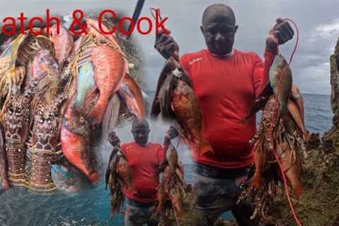 Catching Fresh Dinner Fish 🐟 Before Tropical Storm ⛈️ Hits Jamaica 🇯🇲 CATCH AND COOK