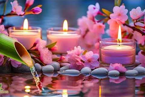 Relaxing Sleep Music &amp; Reduce Insomnia, Stress Relief, Relaxing, Calming Music and Meditation..