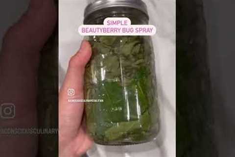 Natural bug repellant 😊 Recipe on our IG!