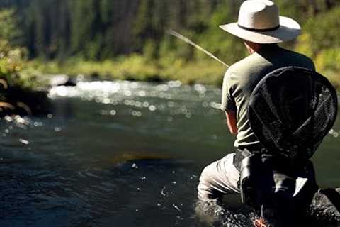 Fly fishing the most productive river I know
