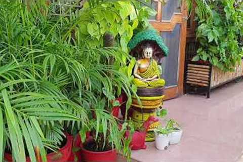 Gardening Tips for Beginners || Garden 101 For Beginners || Fun Gardening